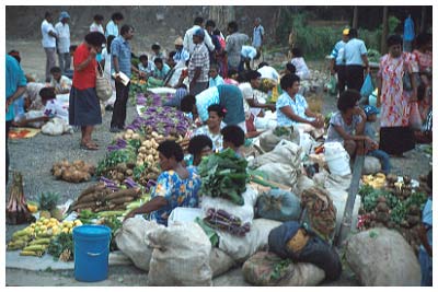 fiji market