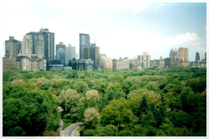 nyc-central park