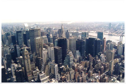nyc-from the empire state bldg. 