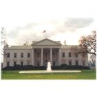 the white house